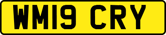 WM19CRY
