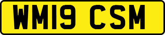 WM19CSM