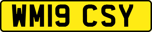 WM19CSY