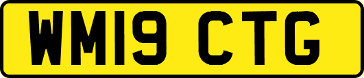 WM19CTG