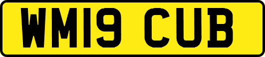 WM19CUB