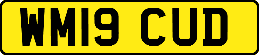 WM19CUD