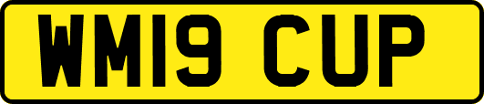 WM19CUP