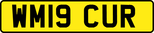 WM19CUR