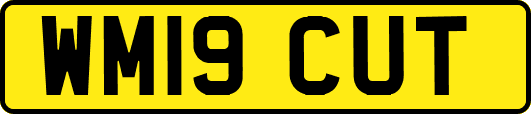 WM19CUT