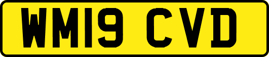 WM19CVD