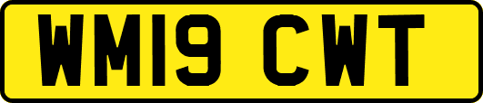 WM19CWT