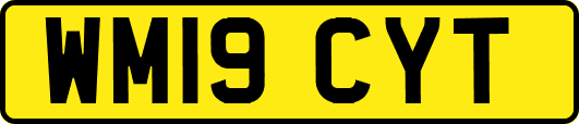 WM19CYT