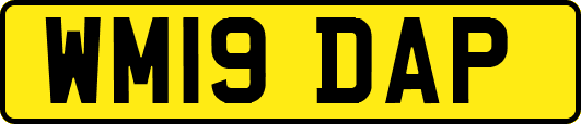 WM19DAP