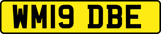 WM19DBE