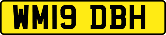 WM19DBH