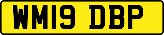 WM19DBP