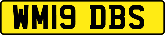 WM19DBS