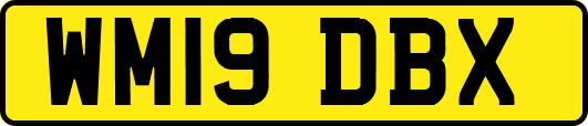 WM19DBX