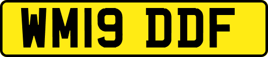 WM19DDF