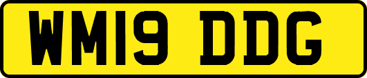 WM19DDG