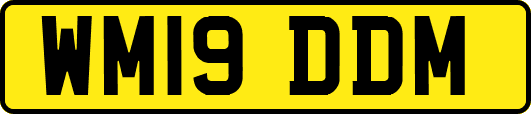 WM19DDM