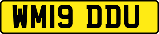 WM19DDU