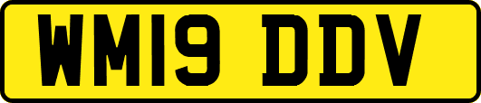 WM19DDV