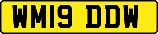 WM19DDW