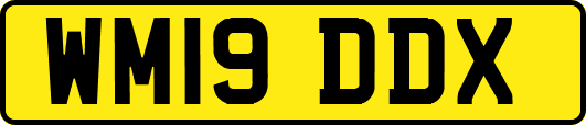 WM19DDX