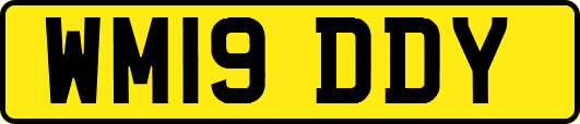 WM19DDY