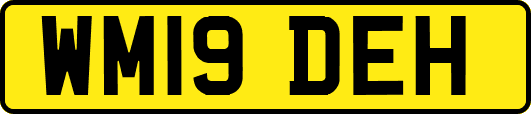WM19DEH