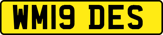 WM19DES
