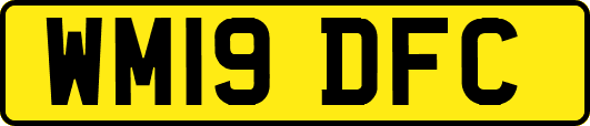 WM19DFC