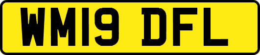 WM19DFL