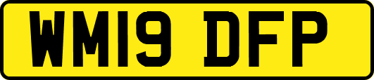 WM19DFP