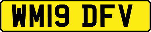 WM19DFV