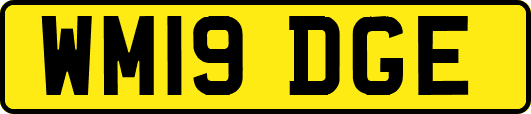 WM19DGE