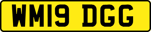 WM19DGG