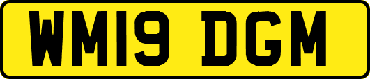 WM19DGM