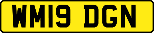 WM19DGN