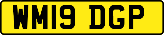 WM19DGP