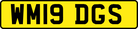 WM19DGS