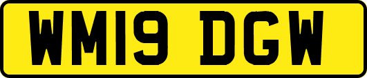 WM19DGW