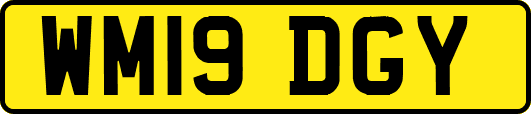 WM19DGY