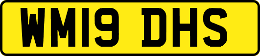 WM19DHS