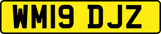 WM19DJZ
