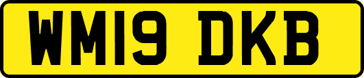 WM19DKB