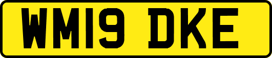 WM19DKE