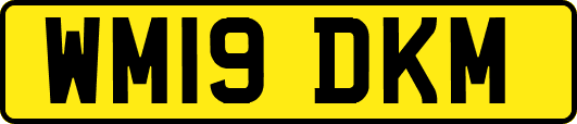 WM19DKM