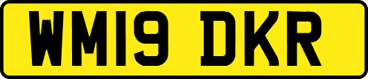 WM19DKR