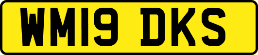 WM19DKS