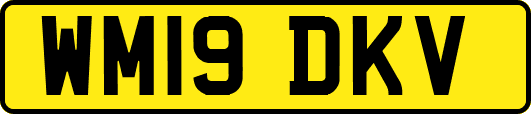 WM19DKV