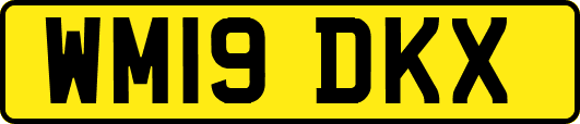 WM19DKX