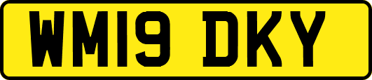 WM19DKY
